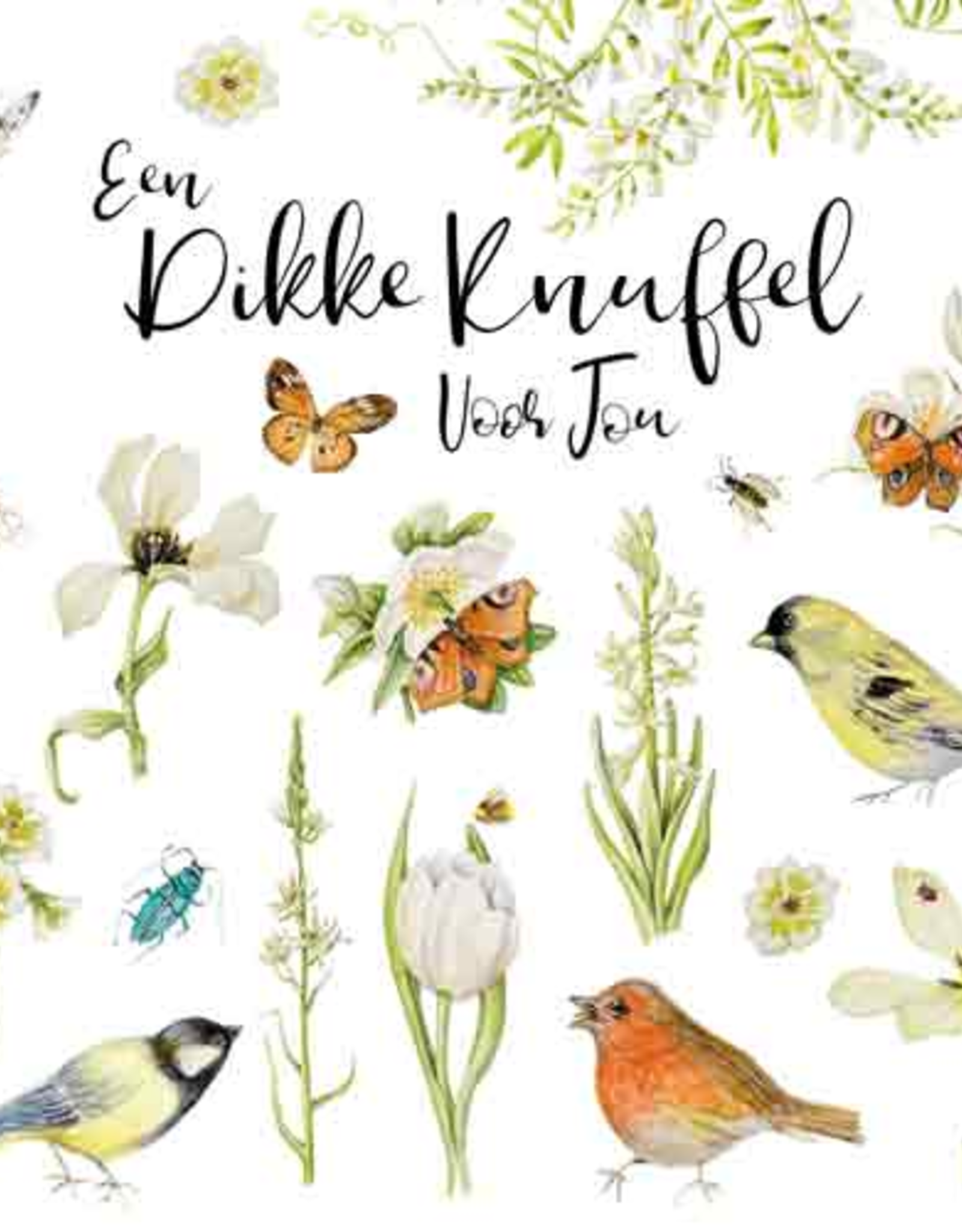 Een Dikke Knuffel voor Jou - Wenskaart Janneke Brinkman