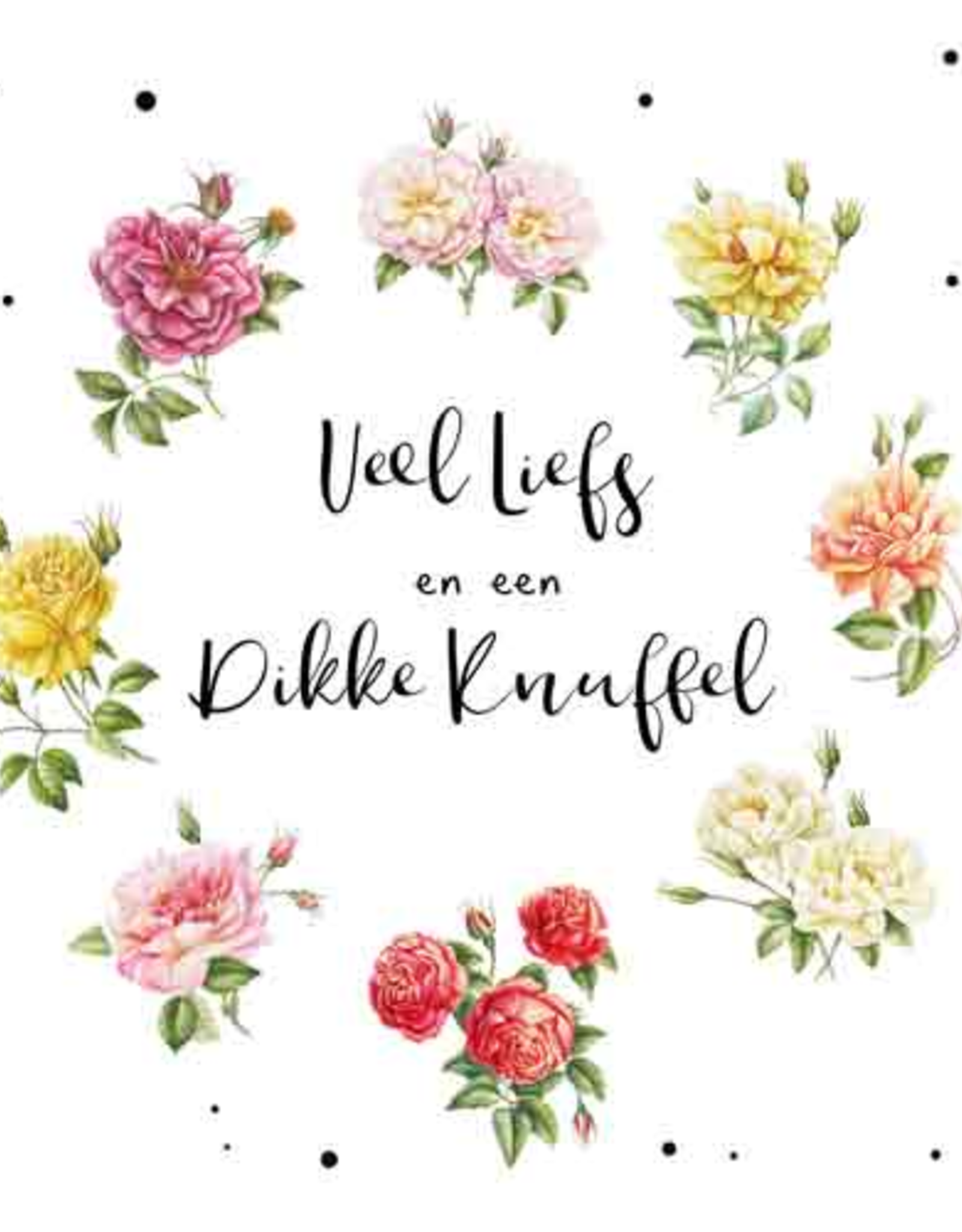 Veel Liefs en een Dikke Knuffel - Wenskaart Janneke Brinkman