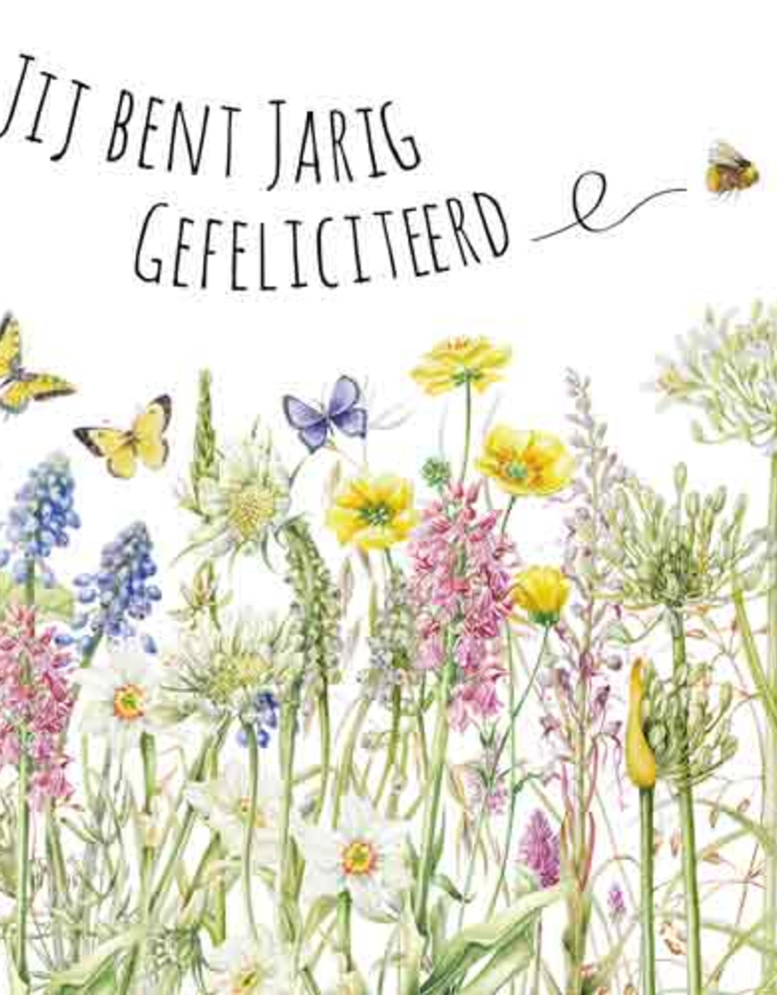 Jij bent Jarig Gefeliciteerd - Wenskaart Janneke Brinkman