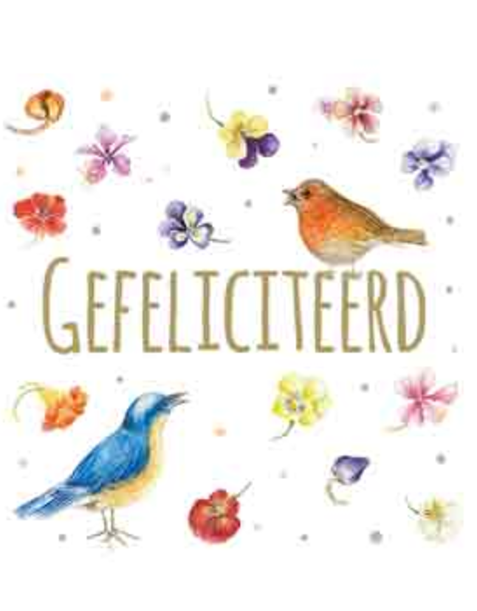 CadeauKaartje Gefeliciteerd -  Janneke Brinkman