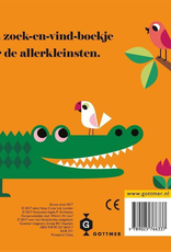 Leeuw, waar ben je? - Met vilten Flapjes en een spiegeltje