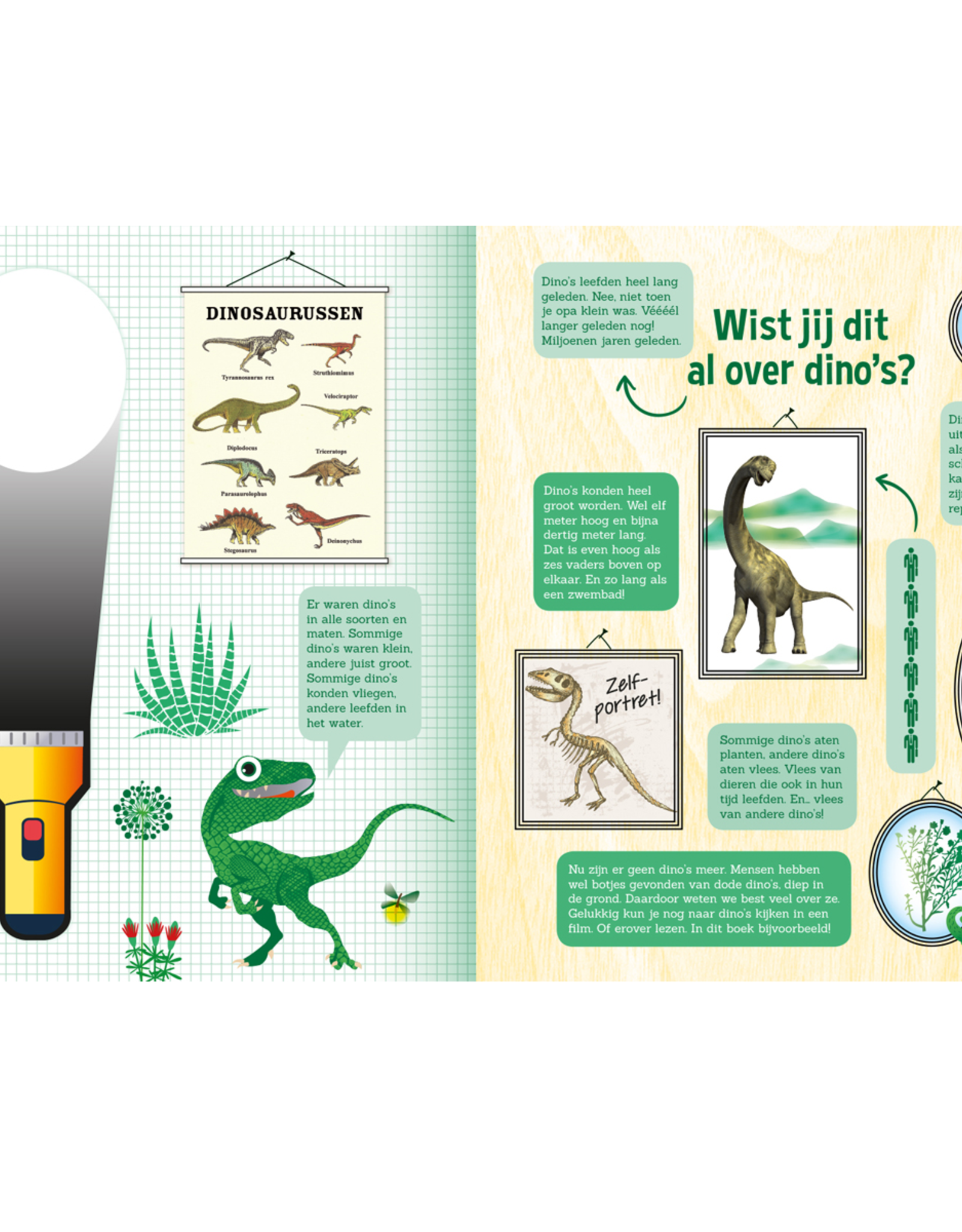 Zaklampboek - Speuren in het Dinobos