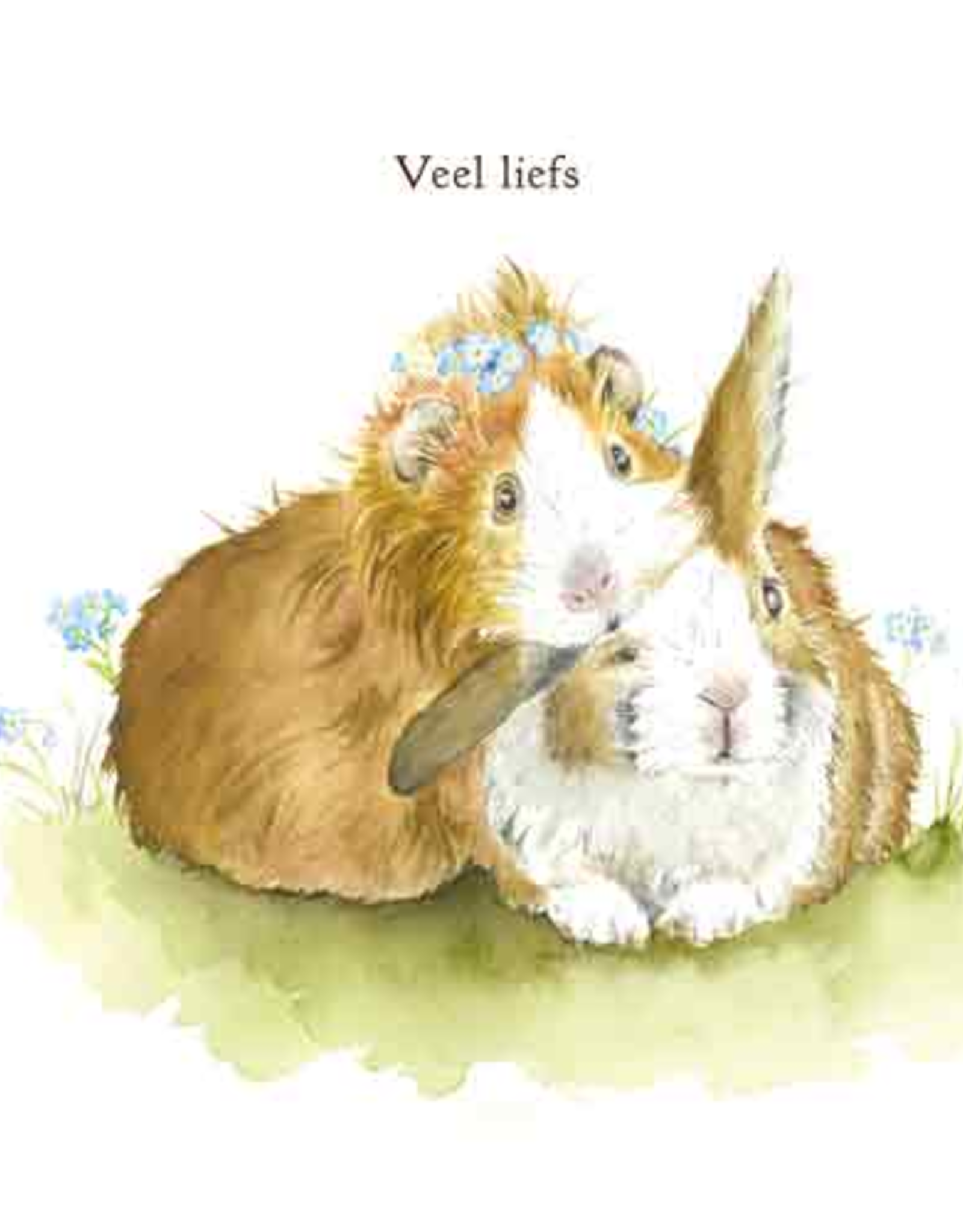 Veel Liefs - Wenskaart Love Country