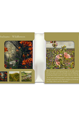 Kaartenmapje Saskia Boelsums - Wildflowers