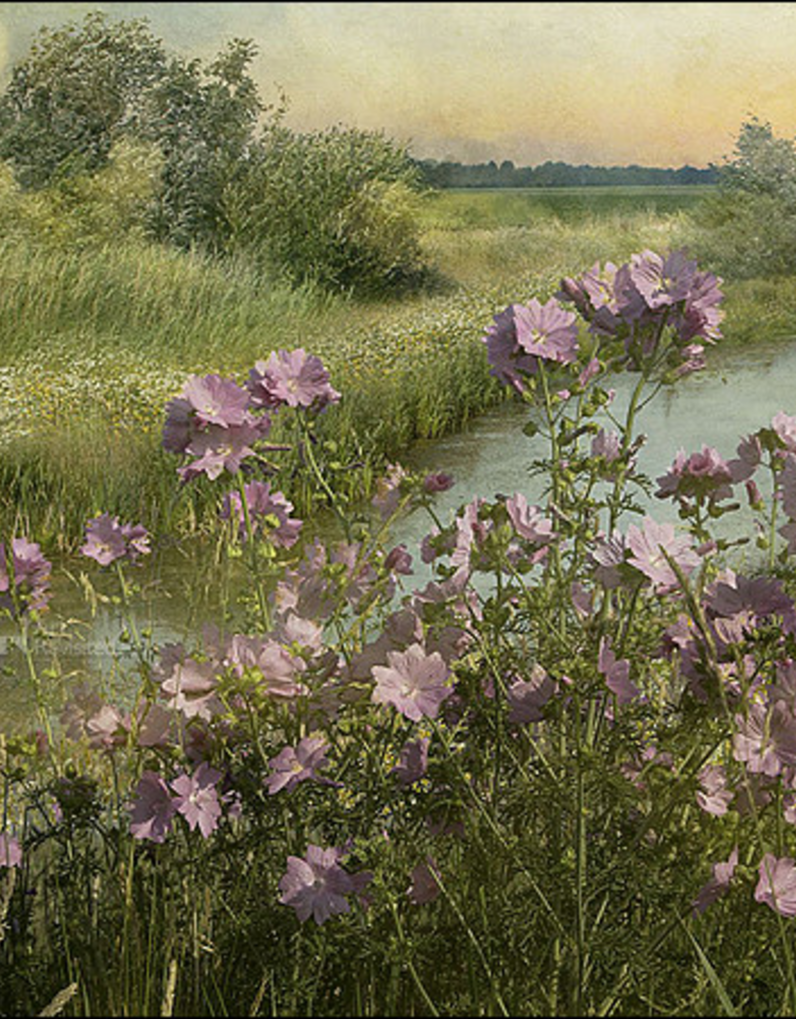 Kaartenmapje Saskia Boelsums - Wildflowers