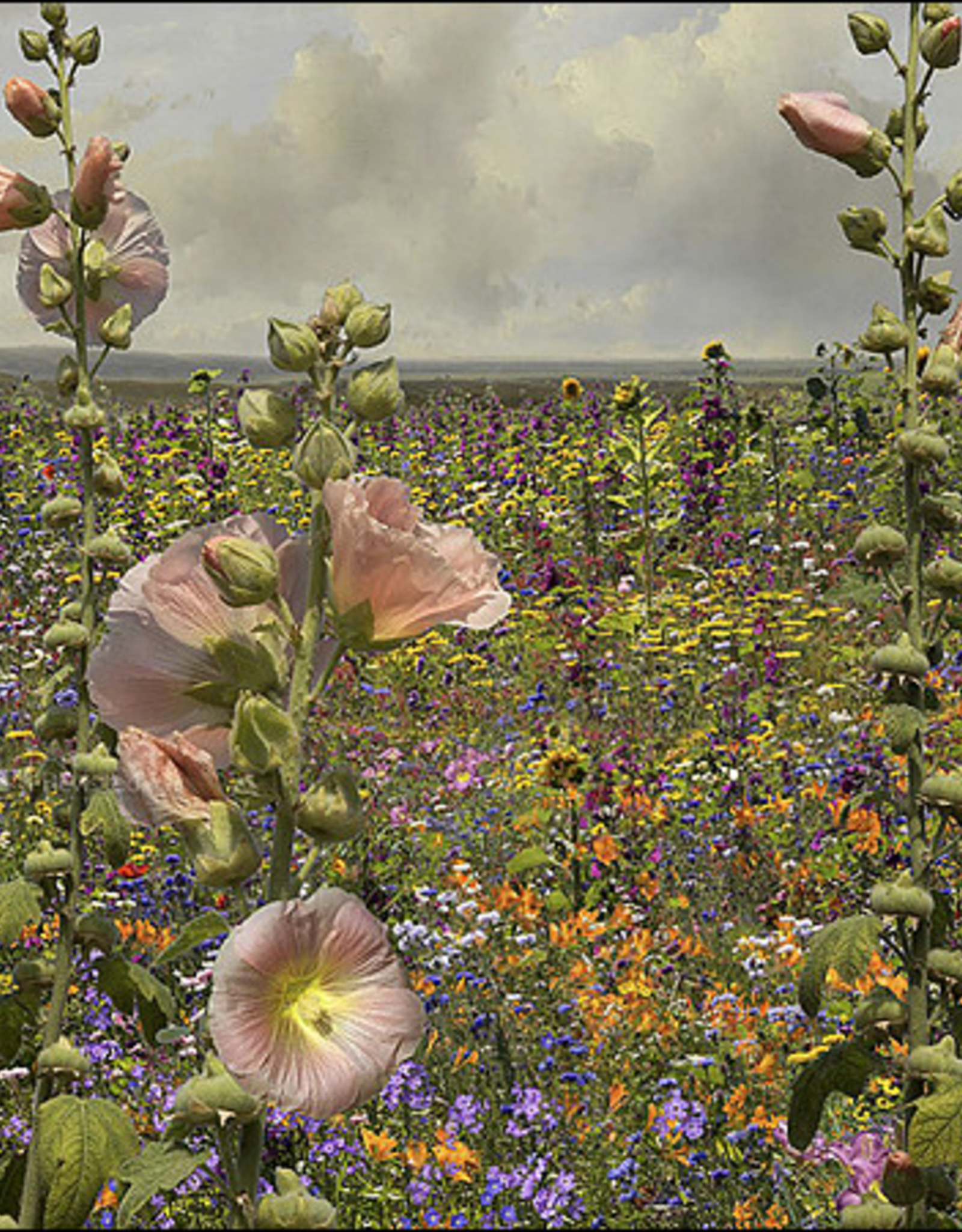 Kaartenmapje Saskia Boelsums - Wildflowers