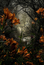 Kaartenmapje Saskia Boelsums - Wildflowers