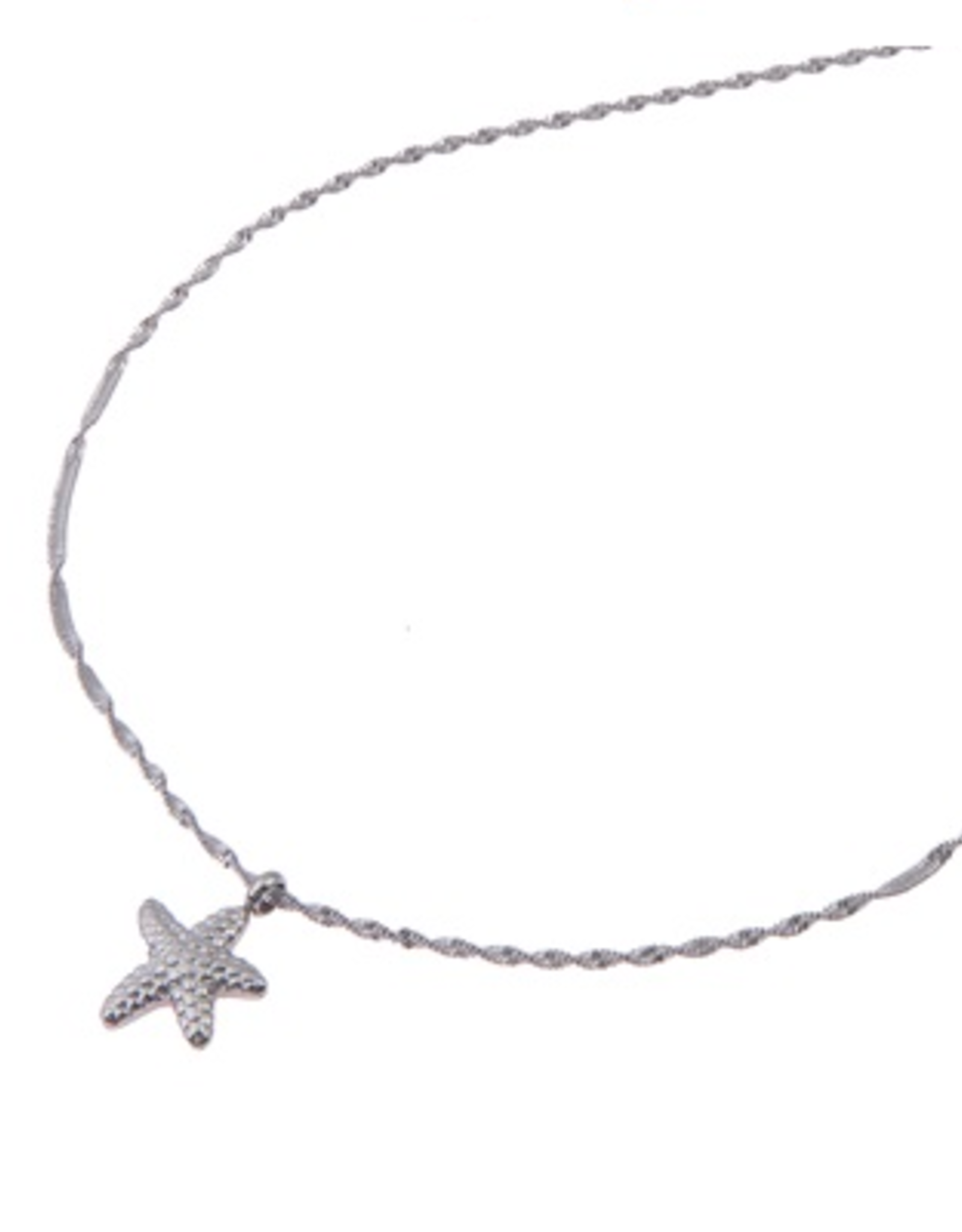 Ketting (N0399-1) Zilver - Go Dutch Label.