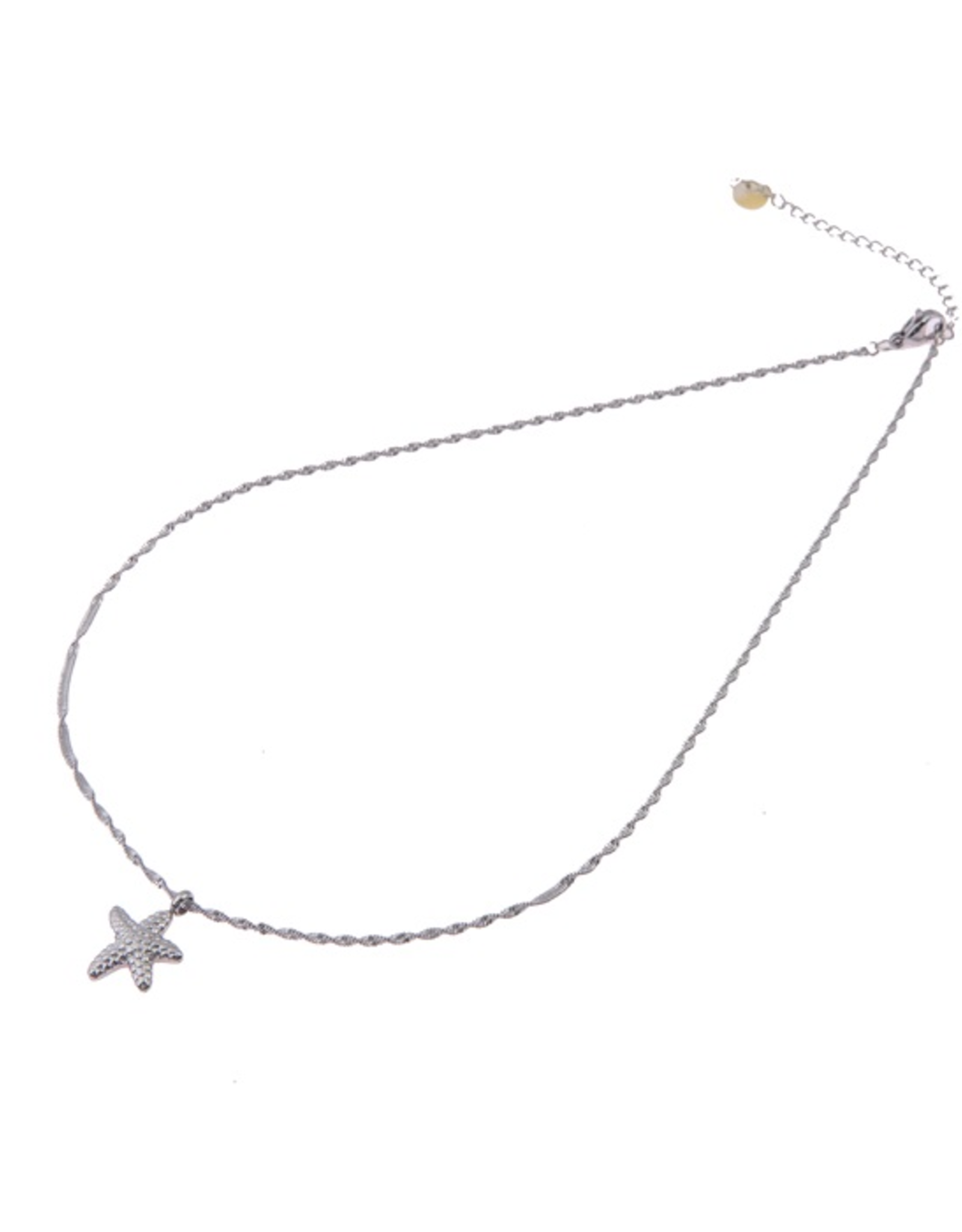 Ketting (N0399-1) Zilver - Go Dutch Label.