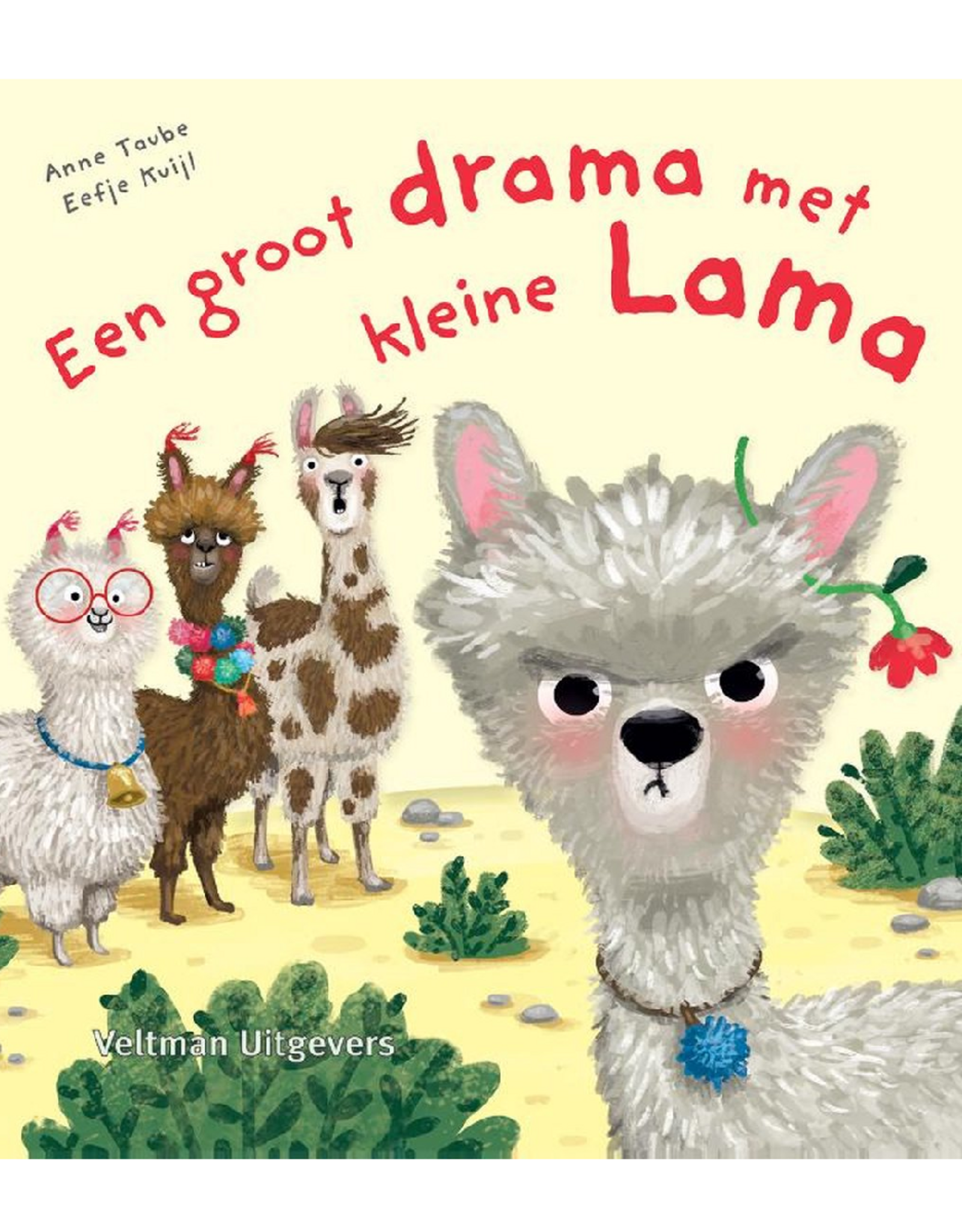 Een groot drama met kleine Lama