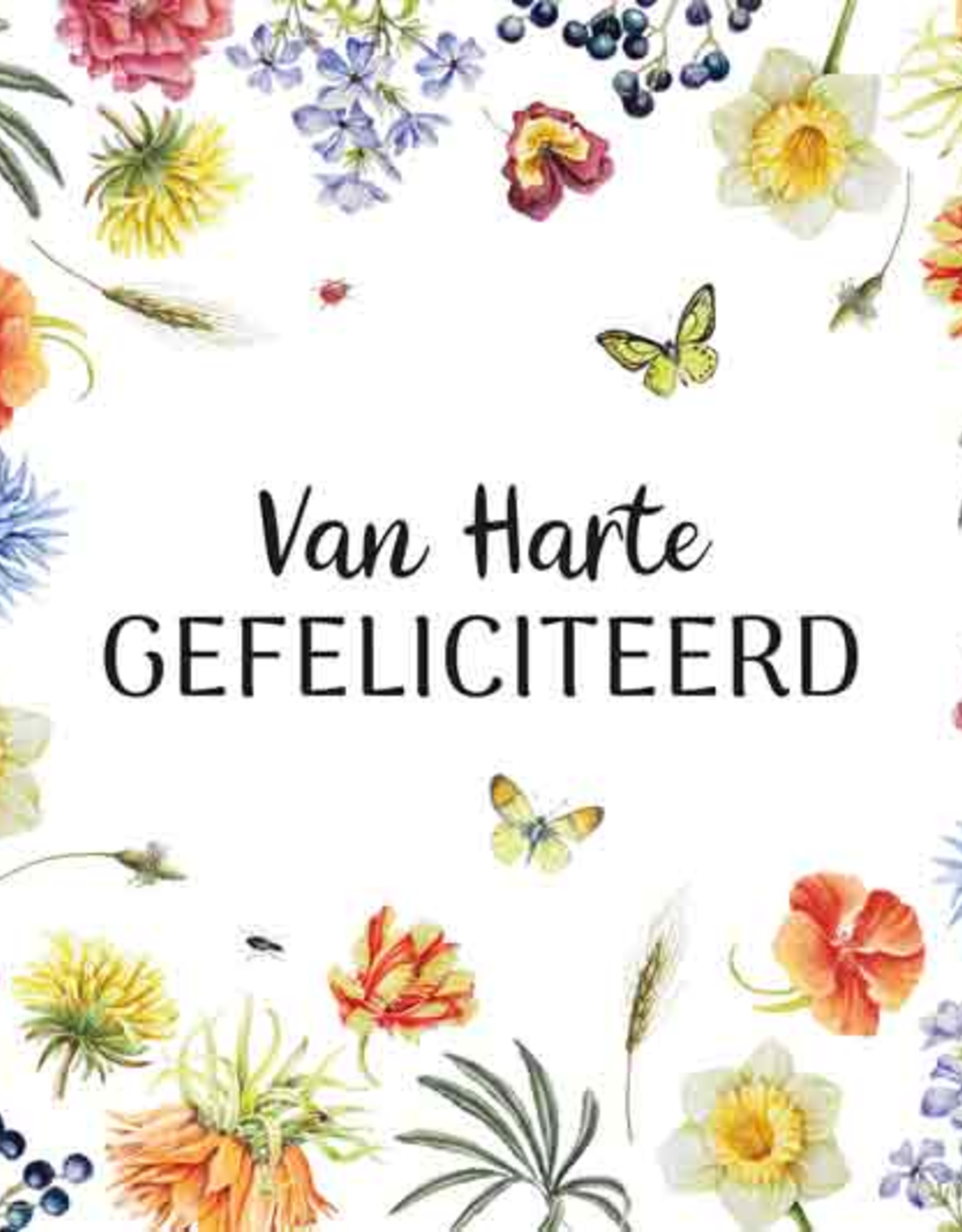 Wenskaart Groot Van Harte Gefeliciteerd -  Janneke Brinkman