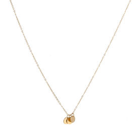 Go Dutch Label Ketting (N2296-2) goud - Go Dutch Label