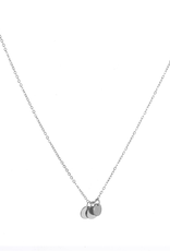 Go Dutch Label Ketting (N2296-1) zilver - Go Dutch Label