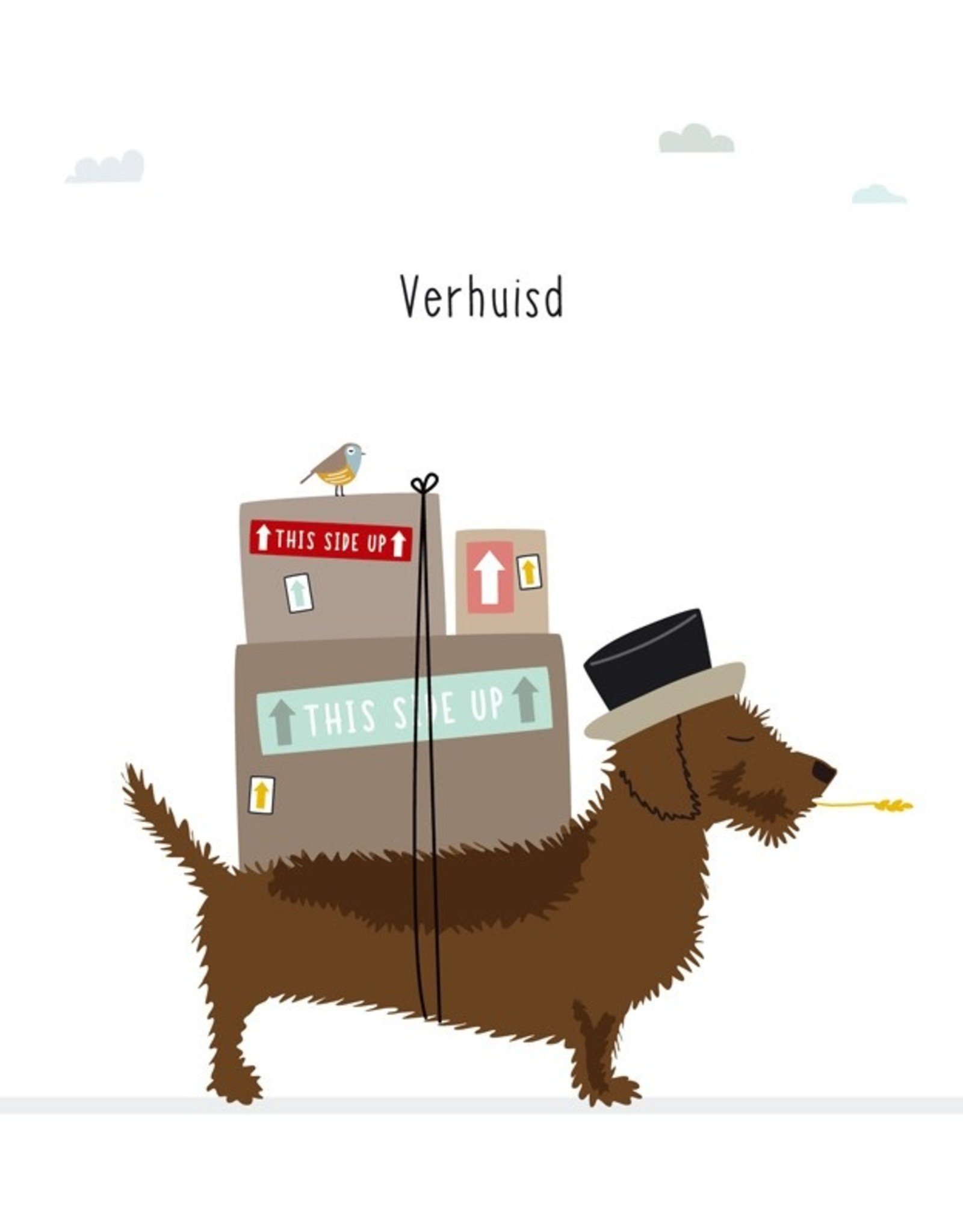 Verhuisd - Wenskaart Frits