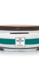 WoodWick Kaars WoodWick Triology "Icy Woodland" Ellipse - WoodWick