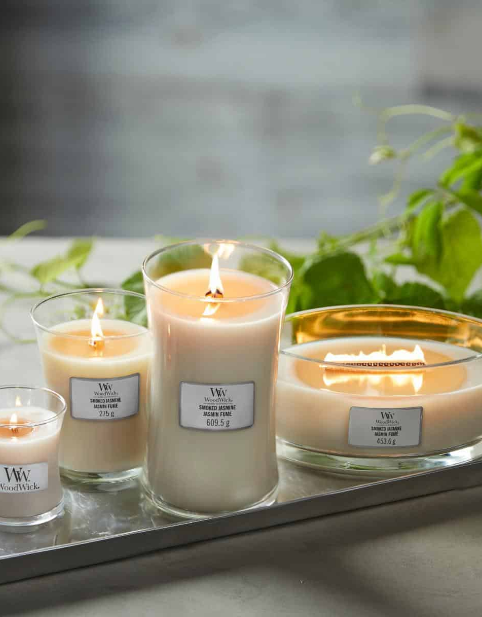 WoodWick Kaars WoodWick "White Honey" Ellipse - WoodWick