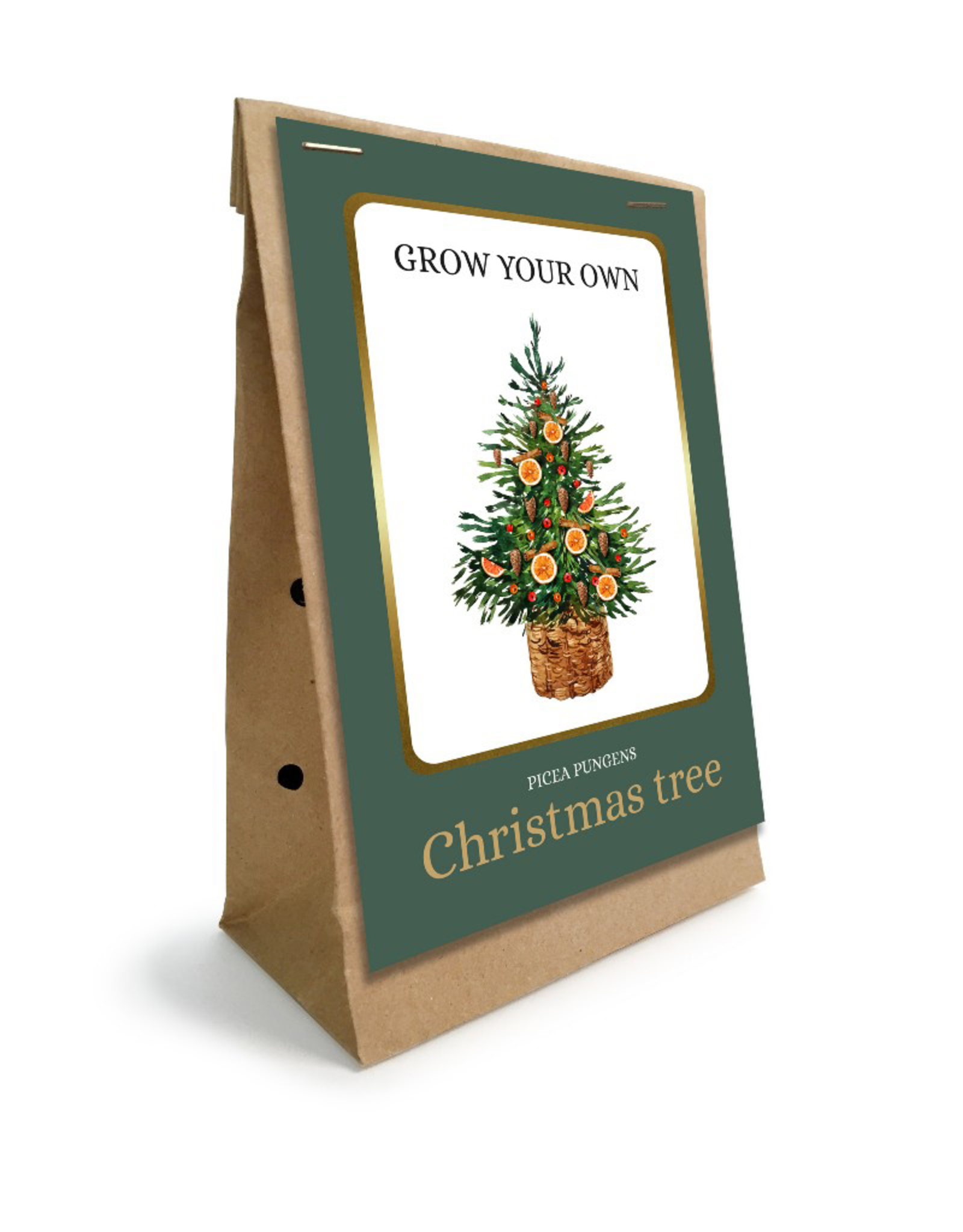 Grow Your own Christmas tree in Kraft Zak