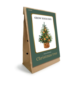 Grow Your own Christmas tree in Kraft Zak