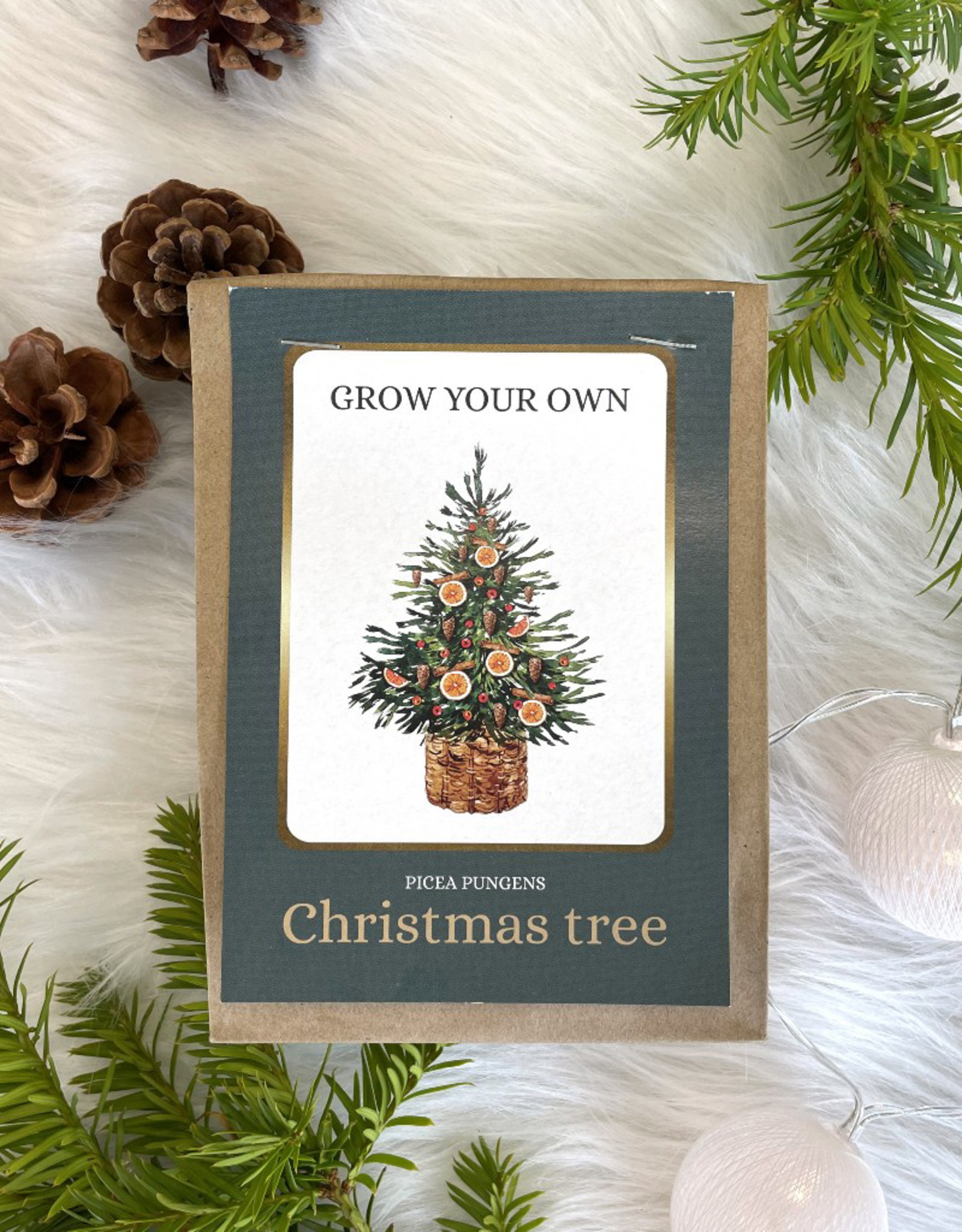 Grow Your own Christmas tree in Kraft Zak