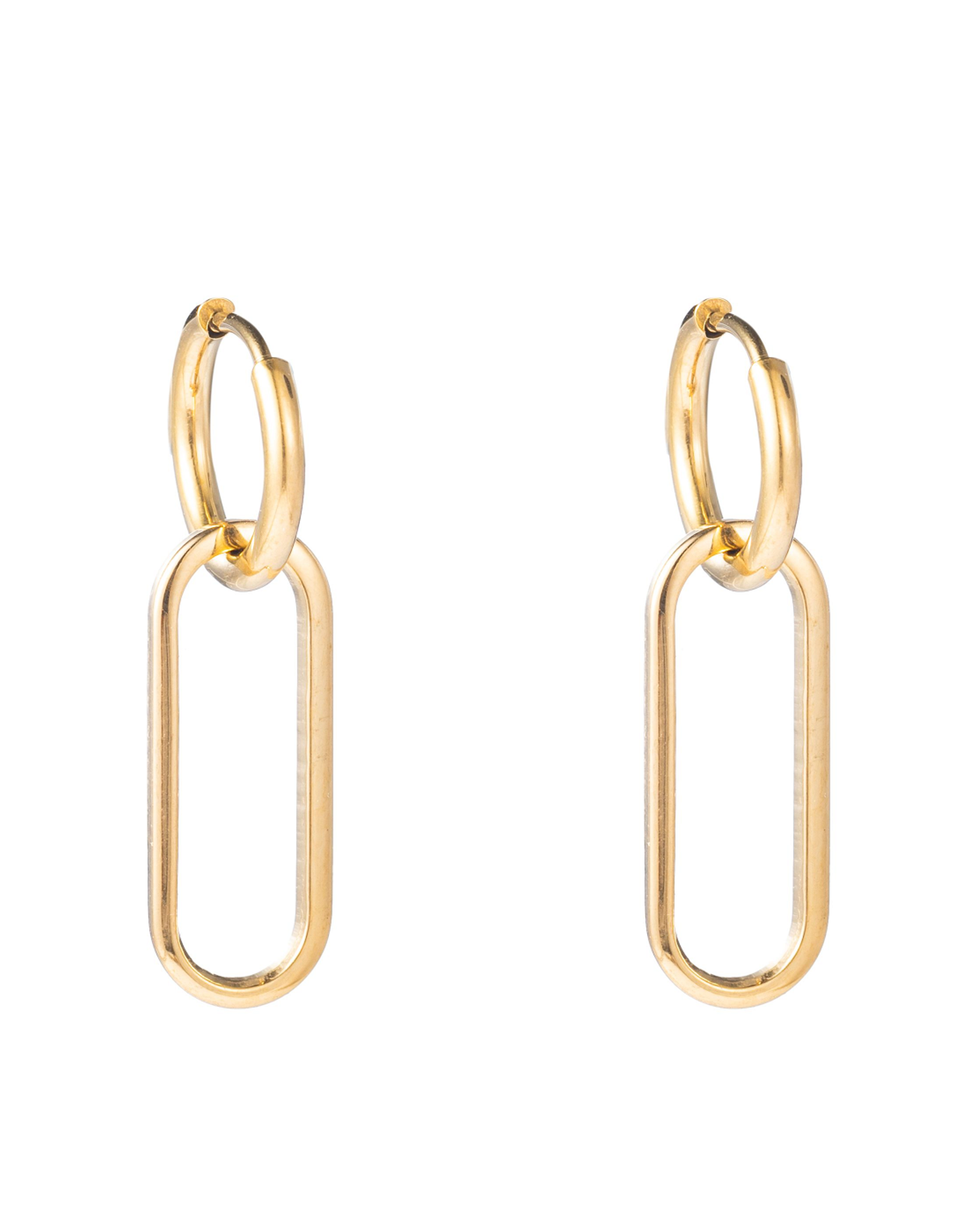 Oorbellen (E2817-2) goud - Go Dutch Label.