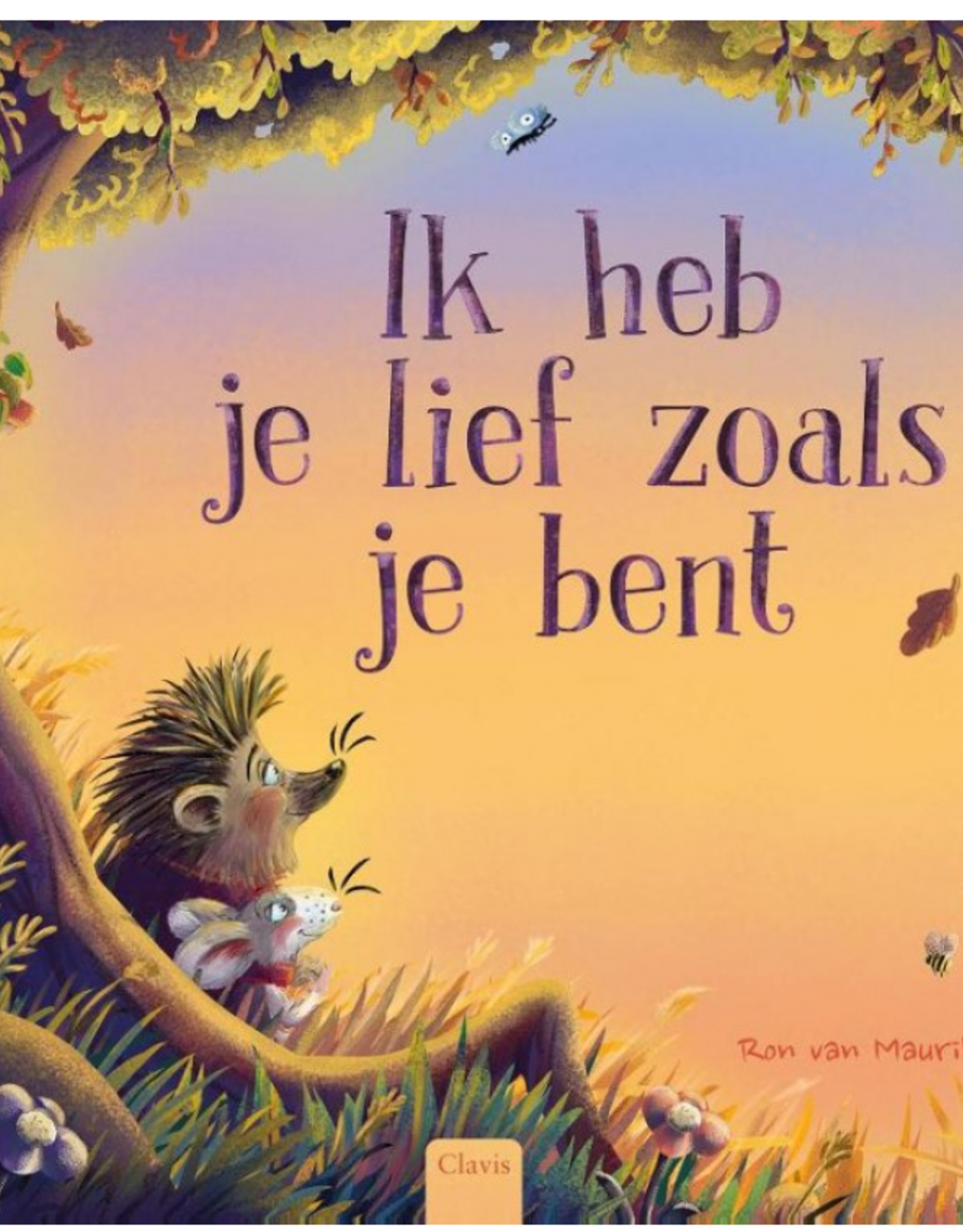 Ik heb je lief zoals je bent - Ron van Maurik