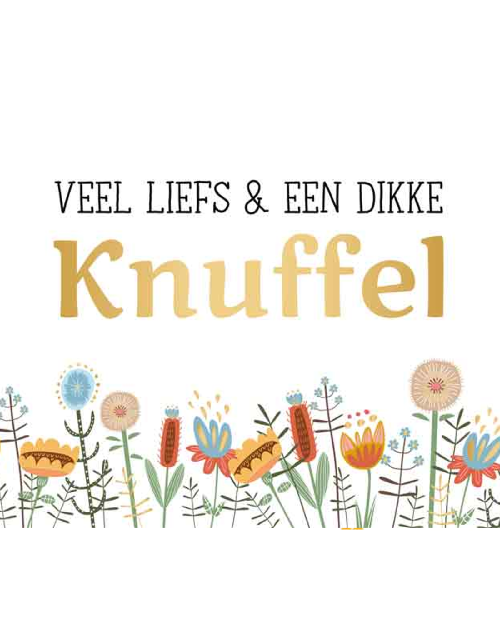 Veel Liefs en een Dikke Knuffel - Wenskaart Daisy