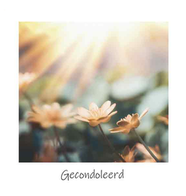 Gecondoleerd - Wenskaart Compassion