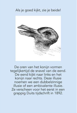 Deltas Verbazingwekkende Optische Illusies - Deltas