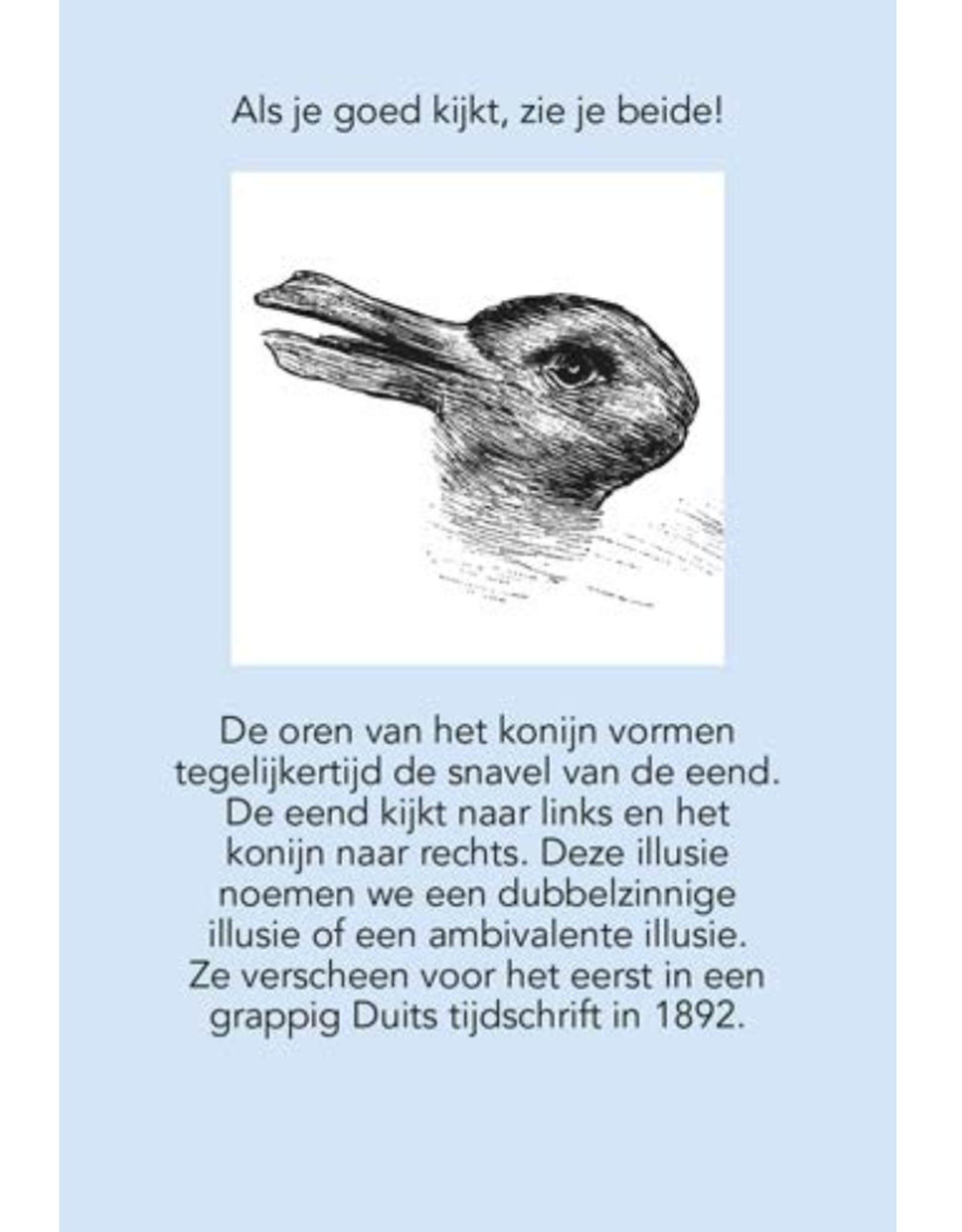 Deltas Verbazingwekkende Optische Illusies - Deltas