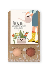 bloembommetjes 2 st lieve juf - Blossombs