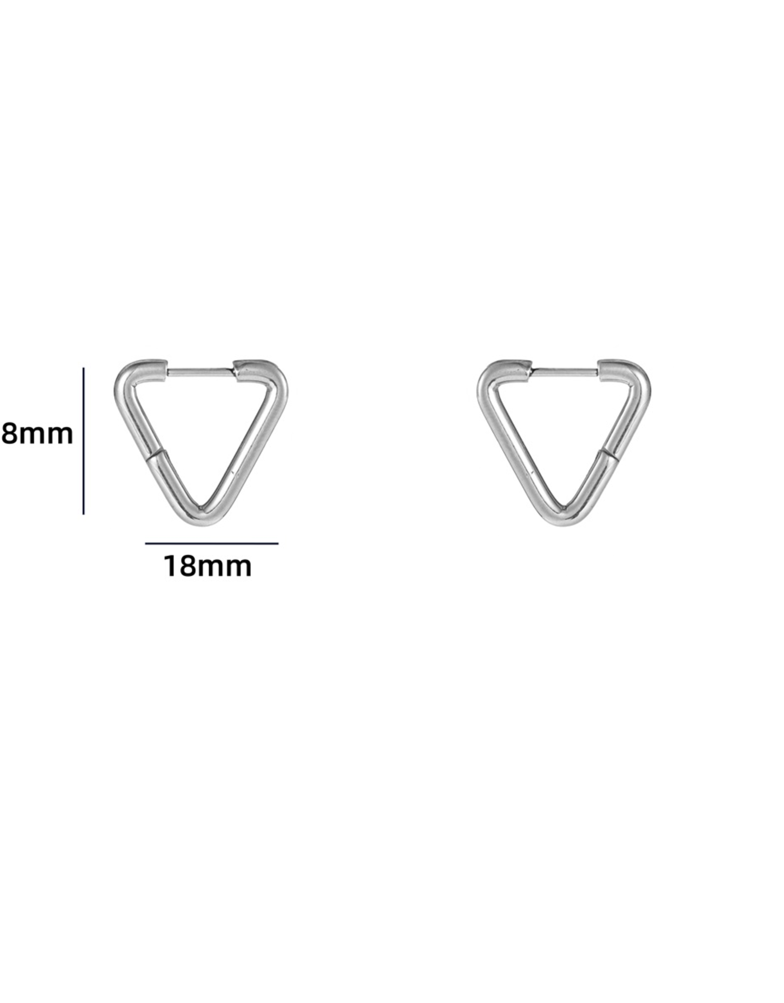 Go Dutch Label Oorbellen (E3907-1) zilver - Day&Eve