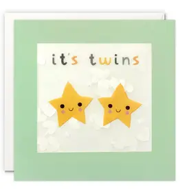 It's Twins - Wenskaart Paper Shakies