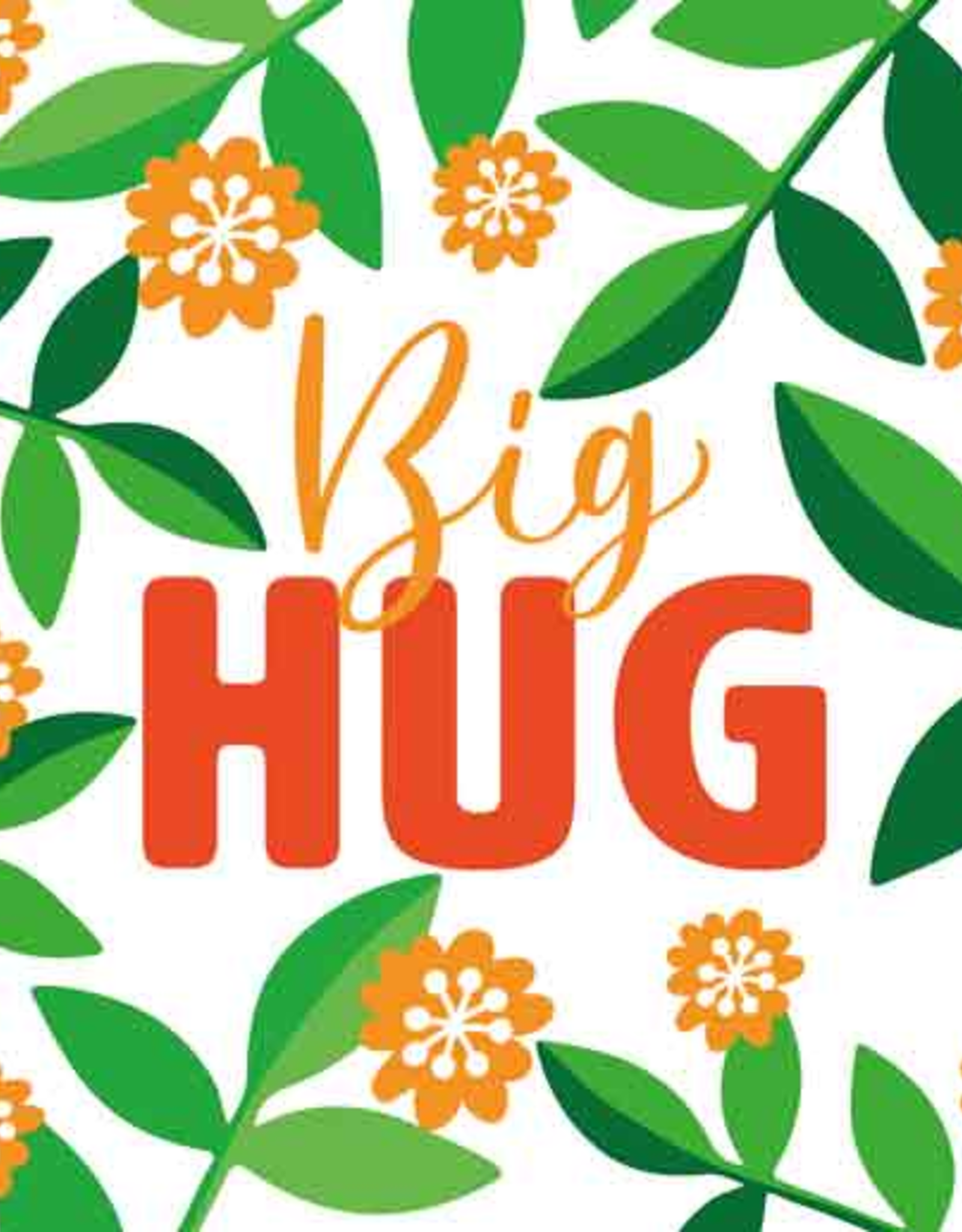 Big Hug - Wenskaart Liefs