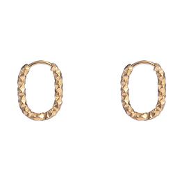 Day & Eve by Go Dutch Label Oorbellen (E4323-2) 14K Goud - Day & Eve by Go Dutch Label.