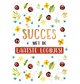 Succes met de Laatste Loodjes! - Wenskaart Everyday