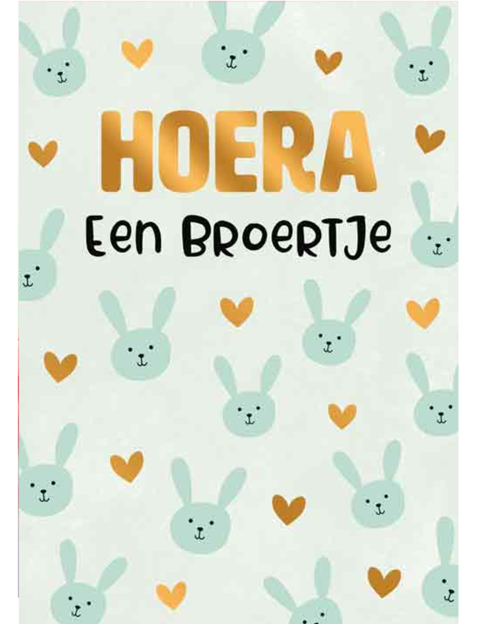 Hoera een broertje - Wenskaart Everyday