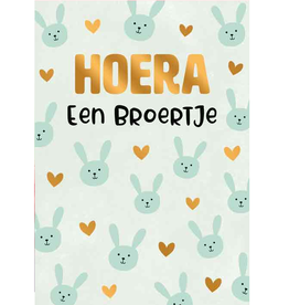 Hoera een broertje - Wenskaart Everyday