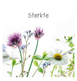 Sterkte - Wenskaart Compassion