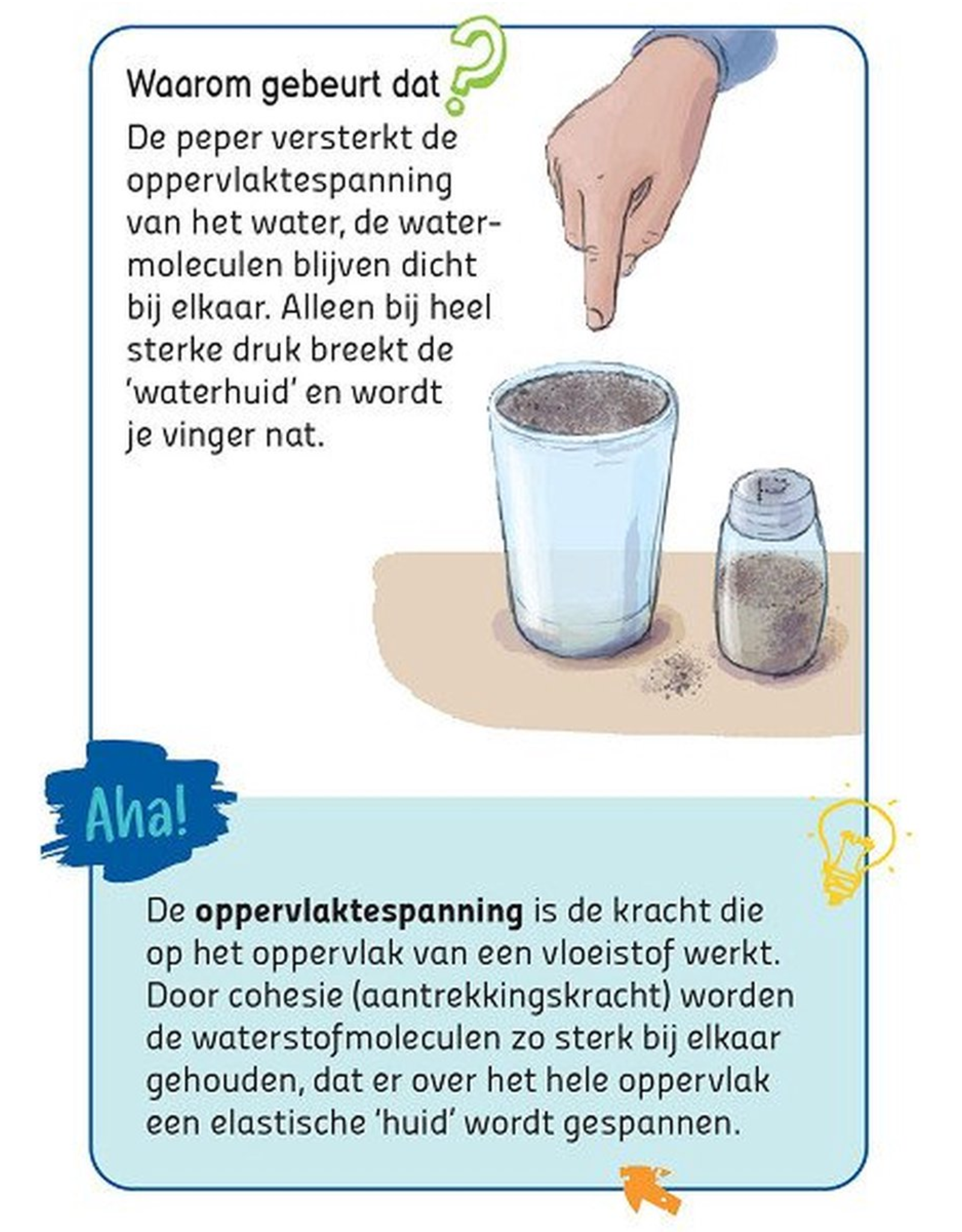 Deltas Supercoole Experimenten - Doos met kaarten