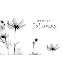 Met Oprechte Deelneming.. - Wenskaart Compassion