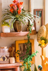 Robotime Miller's Flower House - Robotime