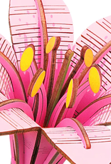 Rolife by Robotime Pink Lily - Robotime
