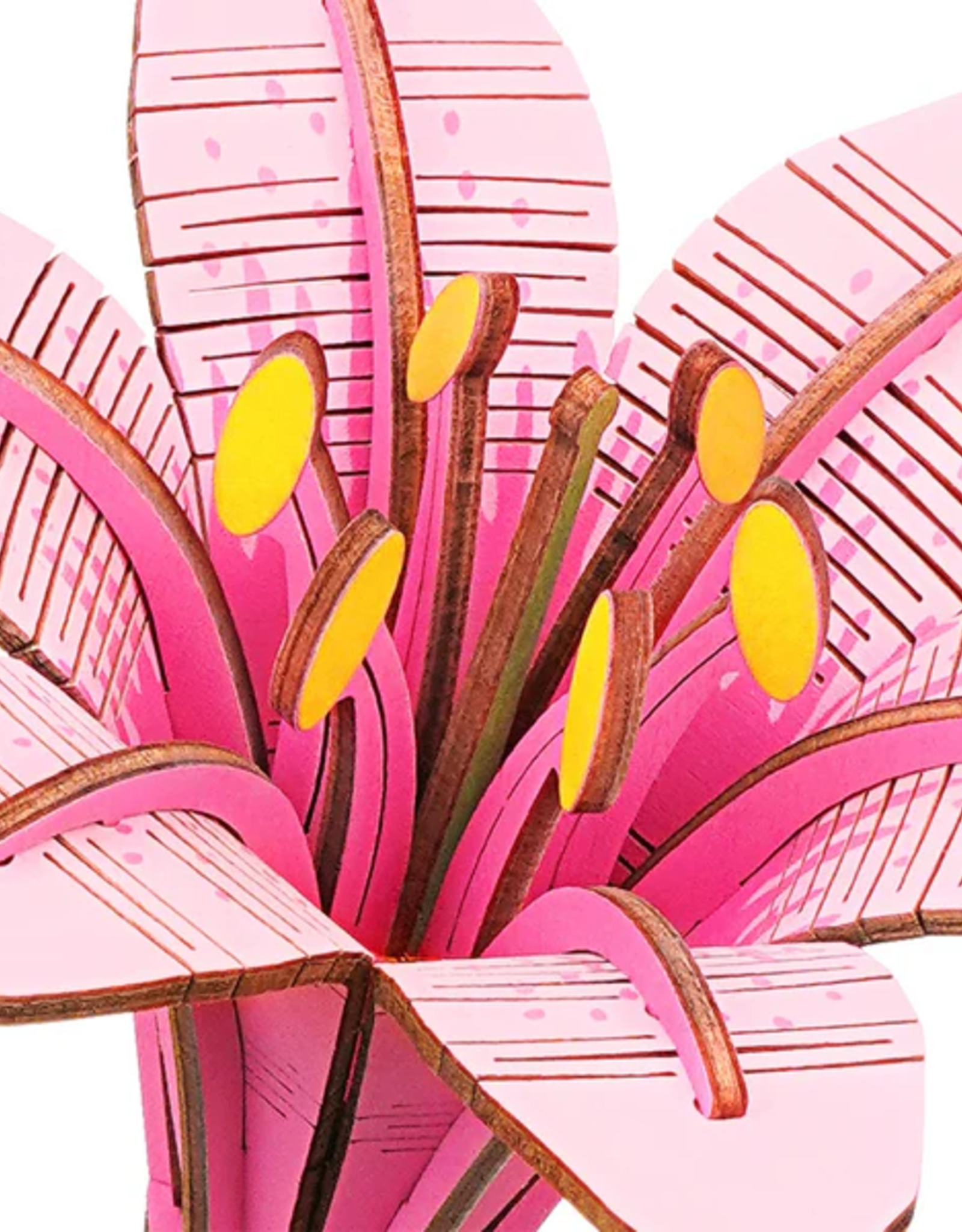 Robotime Pink Lily - Robotime