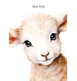 Veel Liefs - Wenskaart Mooz