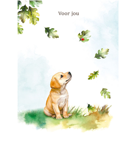 Voor Jou - Wenskaart Mooz