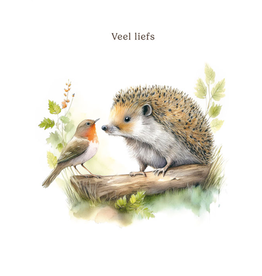 Veel Liefs - Wenskaart Mooz