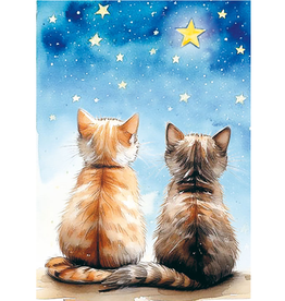 (Katten met Sterren) - Wenskaart Mooz