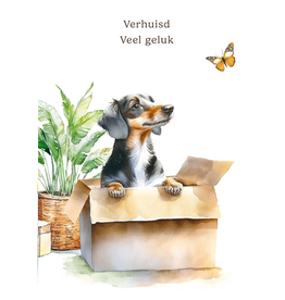 Verhuisd Veel Geluk - Wenskaart Mooz