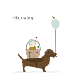 Hello, new baby! - Wenskaart Frits
