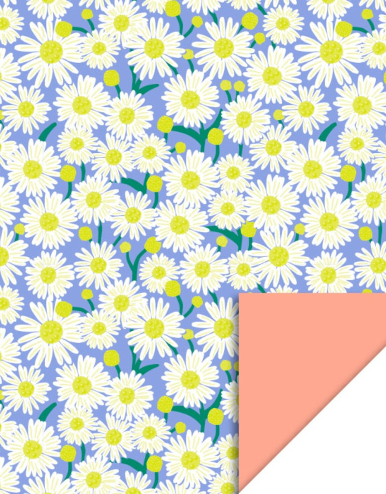 House of Products Inpakpapier Daisy Blue Dubbelzijdig 70cmx3m